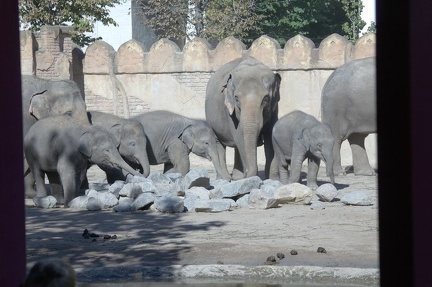 Zoo Pi 220924 22