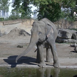 Zoo Leipzig