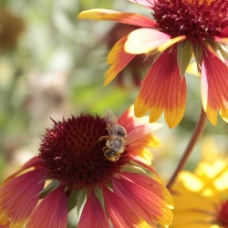 Botanischer Garten