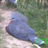 Zoo